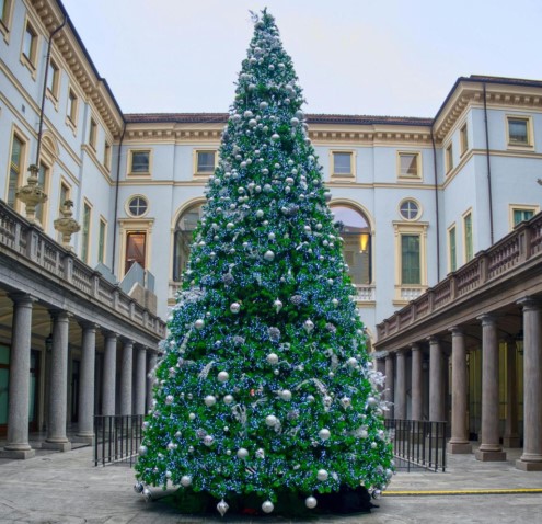 Create a Pink Christmas Tree That Celebrates Self Growth