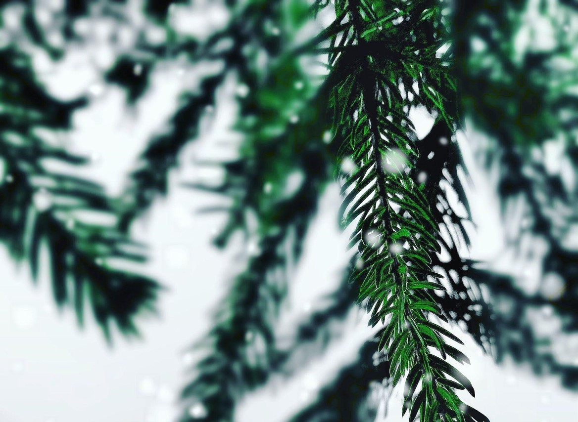 Why Artificial Christmas Trees Are the Perfect Choice